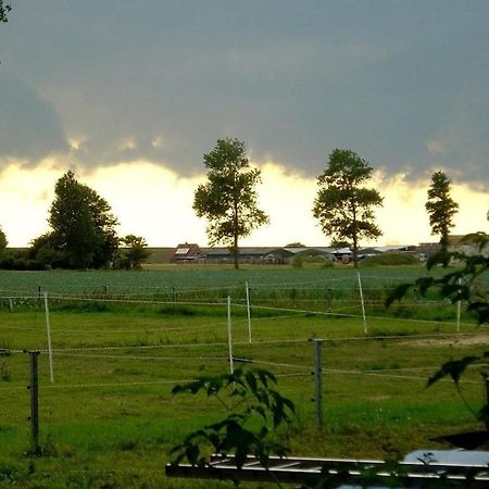 Deich Im Landhaus Michaela Friedrichskoog Ngoại thất bức ảnh