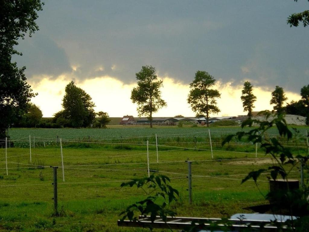 Deich Im Landhaus Michaela Friedrichskoog Ngoại thất bức ảnh