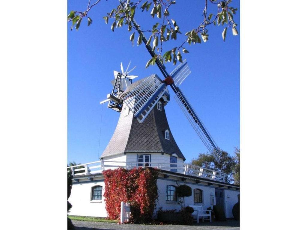 Deich Im Landhaus Michaela Friedrichskoog Ngoại thất bức ảnh